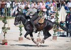 Pferd International 189